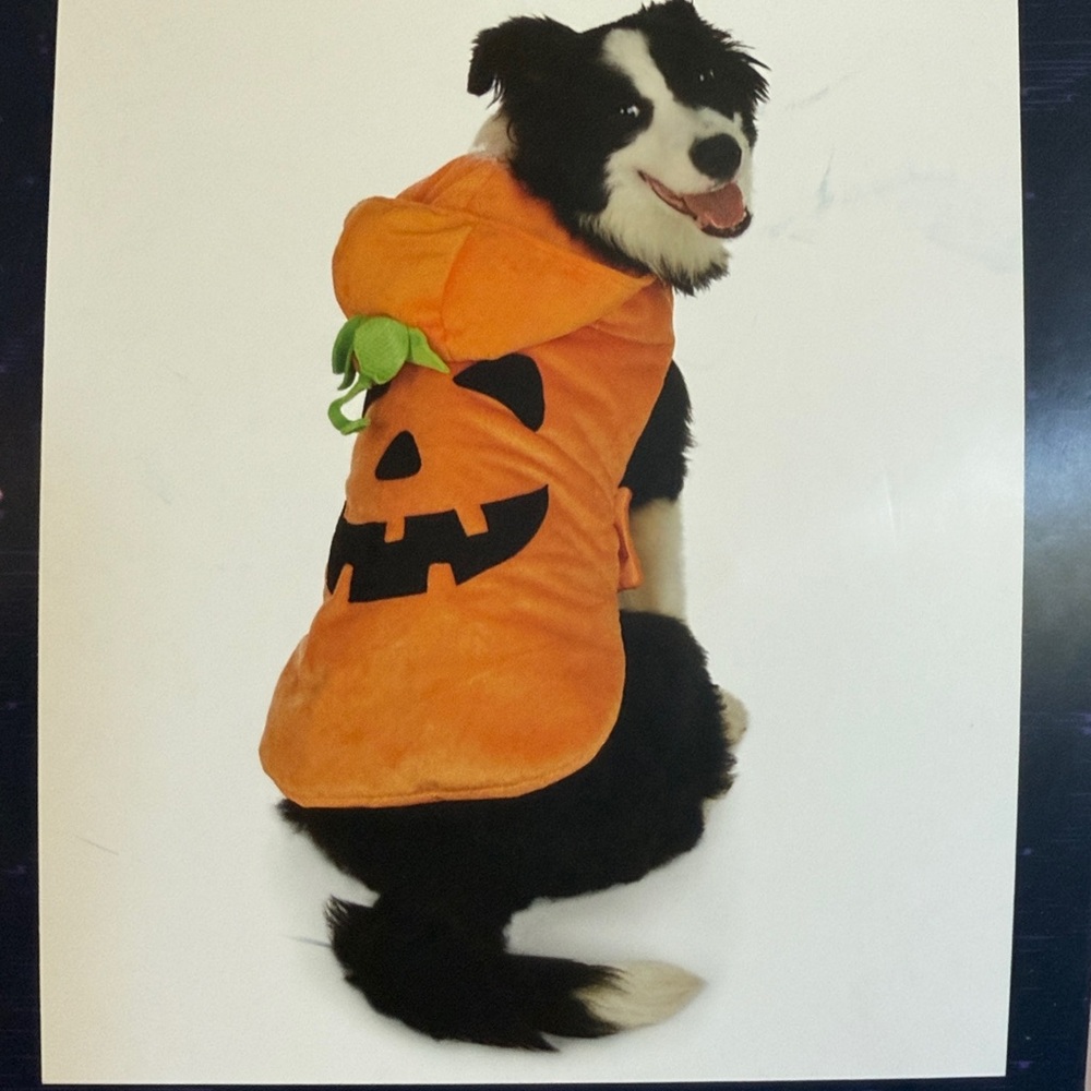 NWT DOG Pumpkin Costume US L